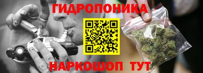индика Будённовск