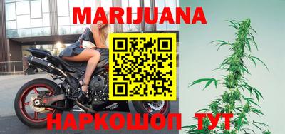 индика Будённовск