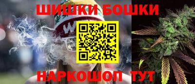 индика Будённовск