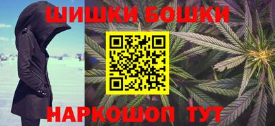 индика Будённовск